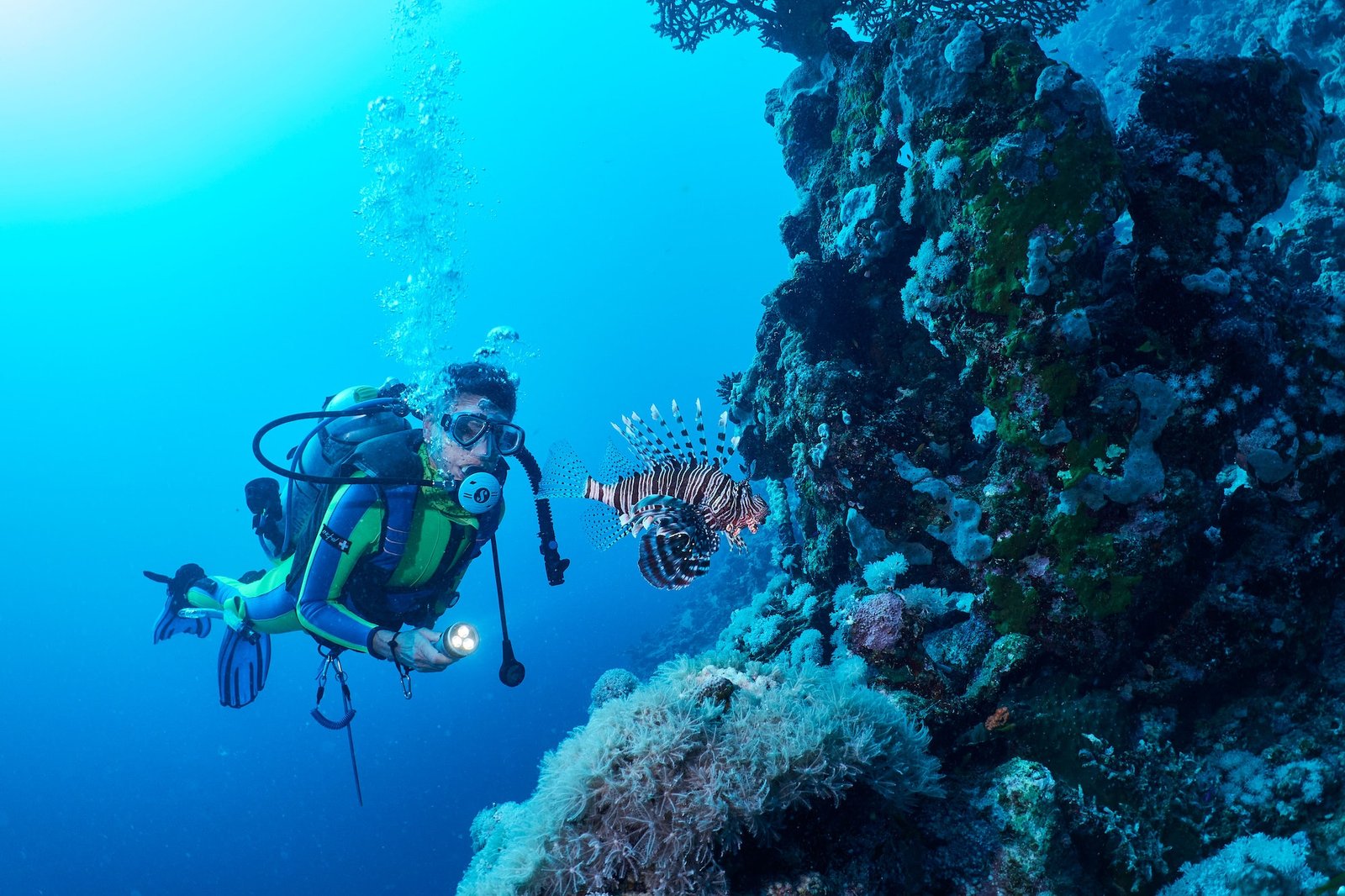 Top 10 Unforgettable Scuba Diving Destinations in the Caribbean