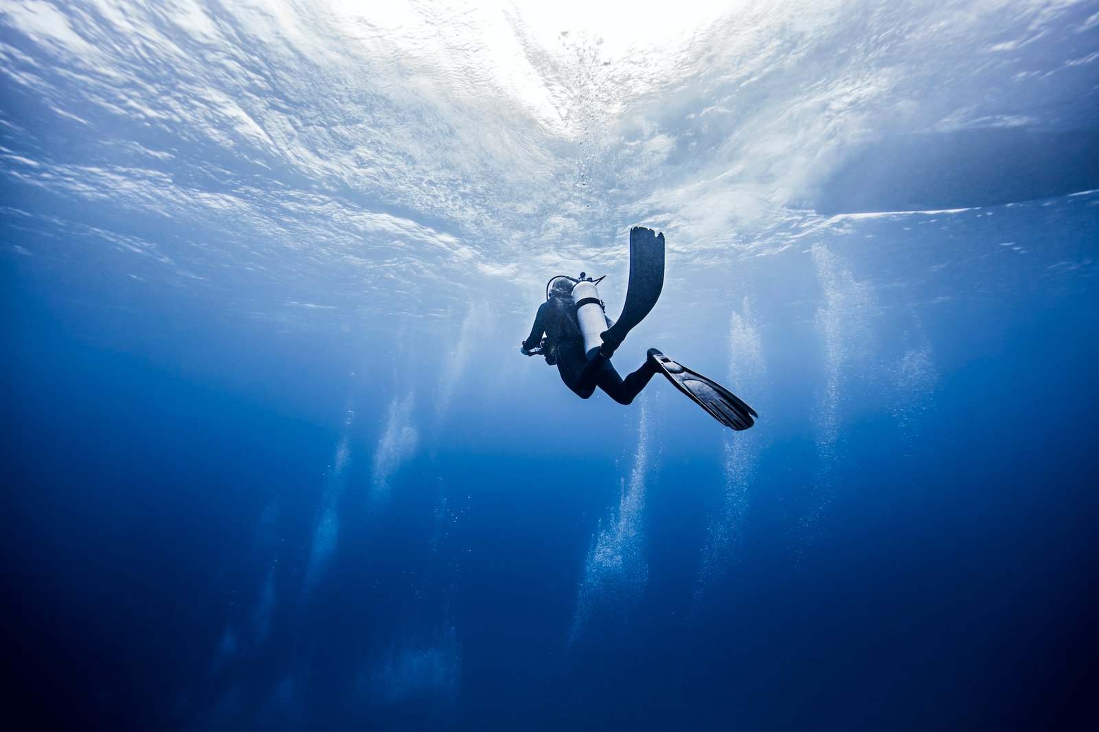 Dive into Adventure: Discover the Thrills of Scuba Diving