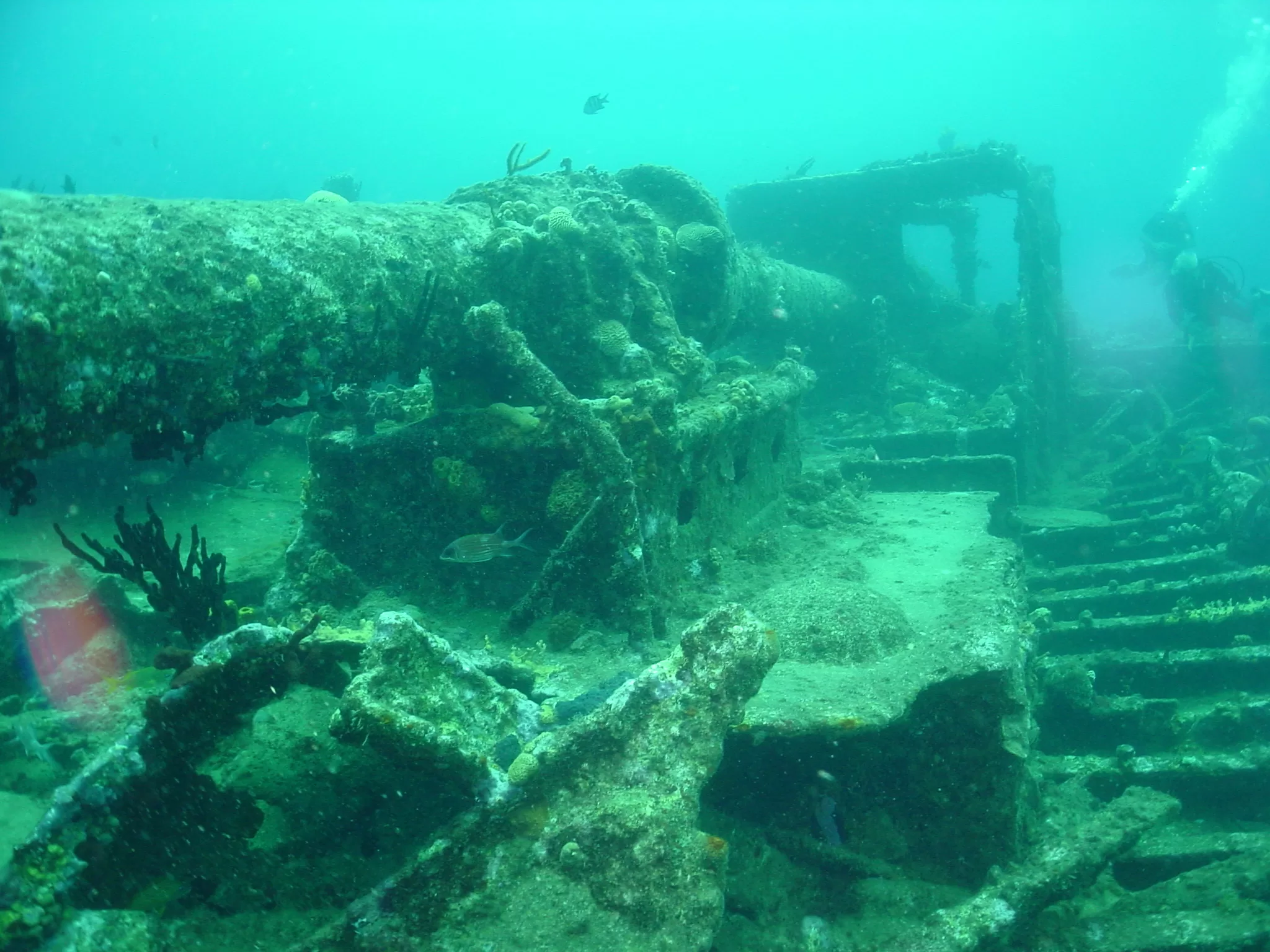 Diving into History: Exploring The Antilla Wreck in Aruba