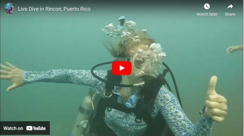 Rincon Puerto Rico – Live Dive