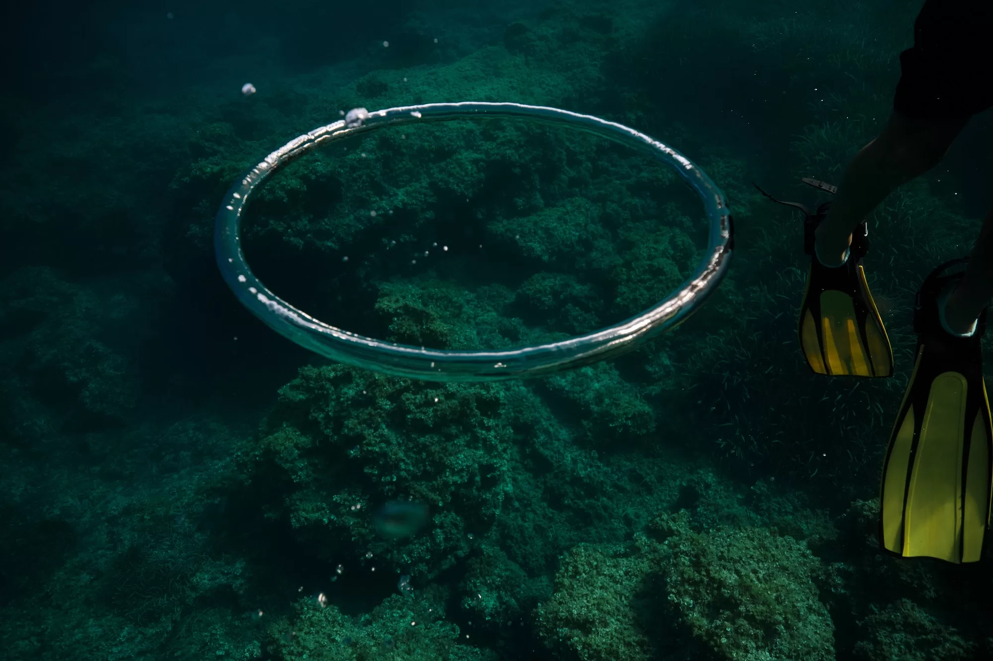 How to Blow Bubble Rings Underwater