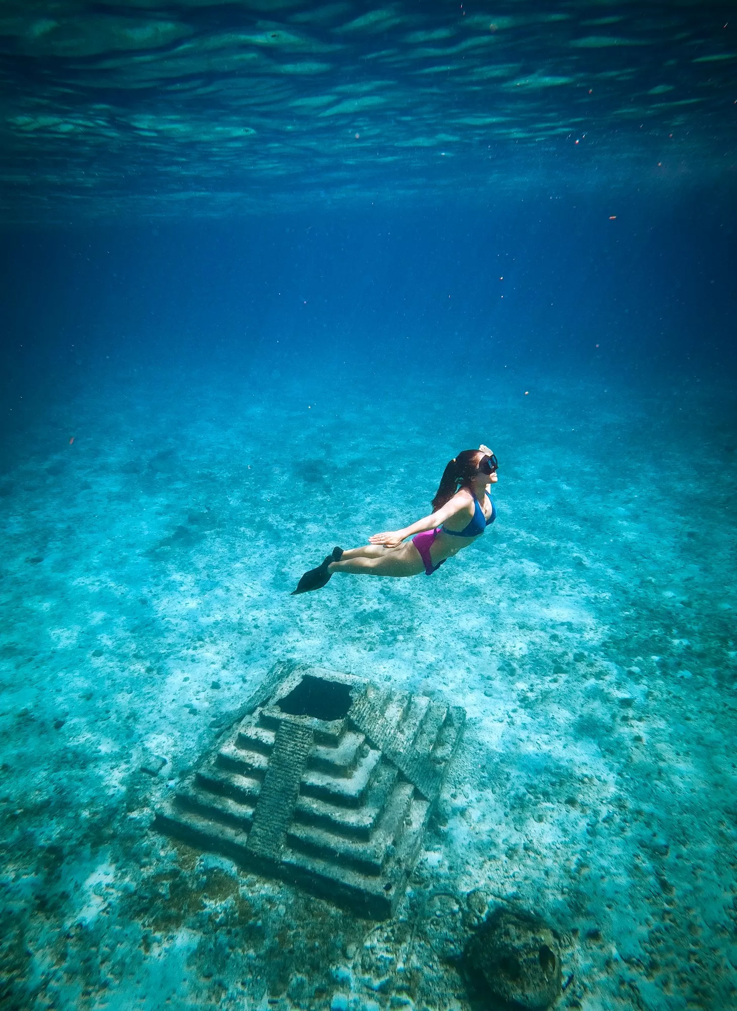 Exploring the Underwater Majesty: Diving at Palancar Reef in Cozumel