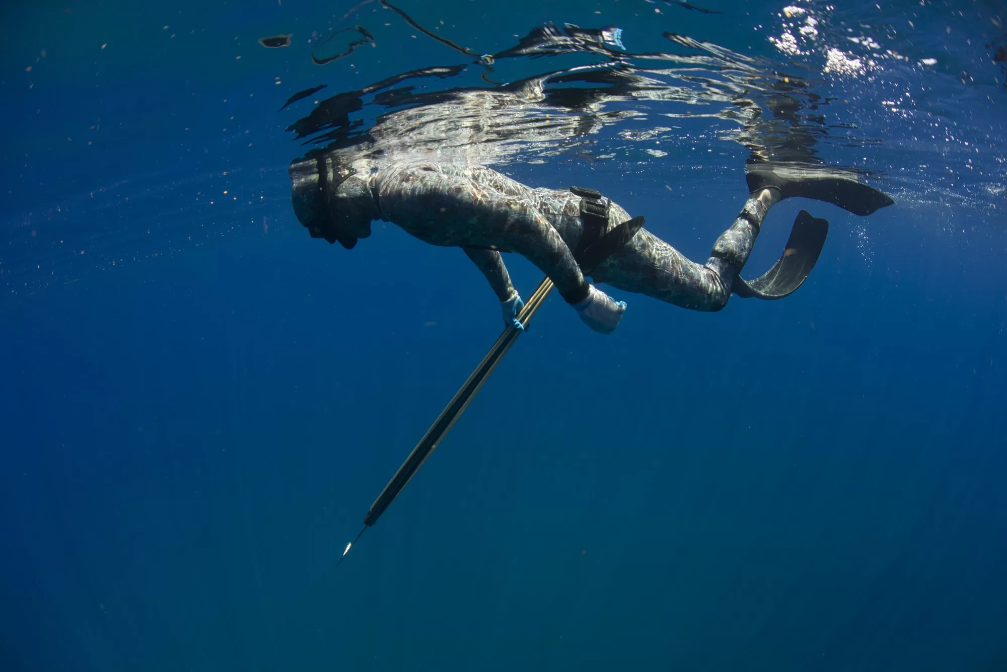 The Ultimate Guide to Spearfishing in Puerto Rico