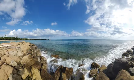 Discover Scuba Diving in Rincon, Puerto Rico: A Tropical Paradise Underwater