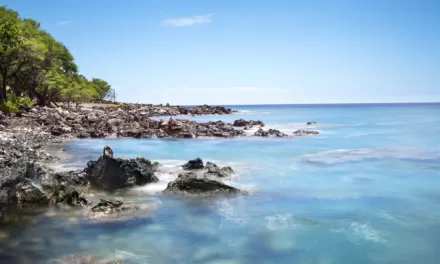 Discover the Underwater Paradise: Diving the Kona Coast