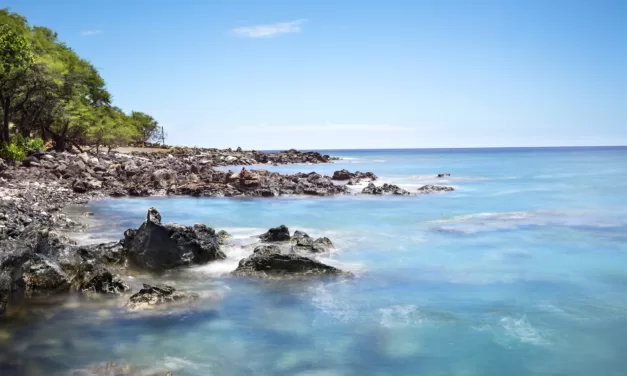 Discover the Underwater Paradise: Diving the Kona Coast