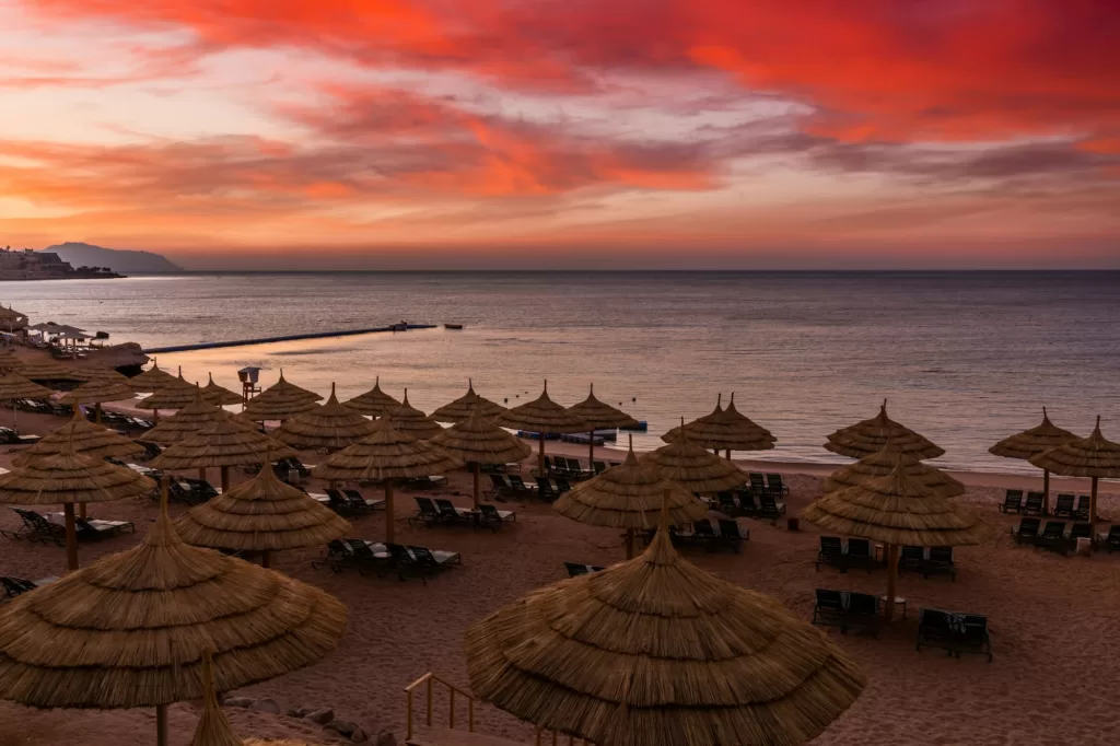 Sunset at the beach with palm trees, parasols and sunbeds. Family Holidays at Sea. Red Sea, Egypt.